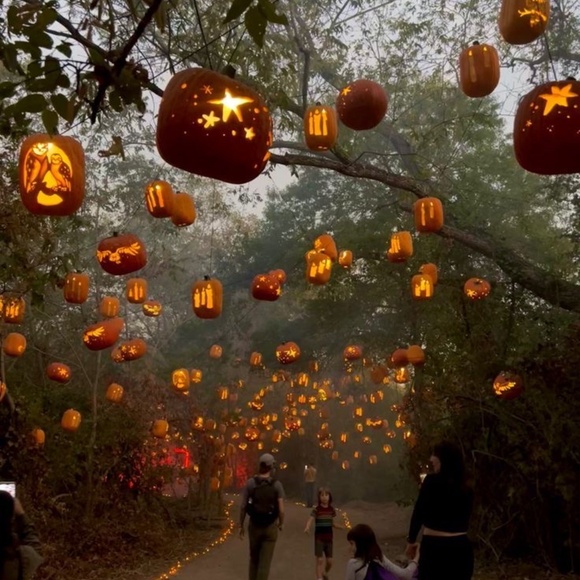 Meet your Posher, Pey - Picture 3 of 5